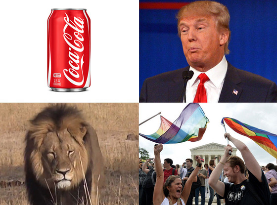 Best of Summer Viral Moment Best of Summer Viral Moment